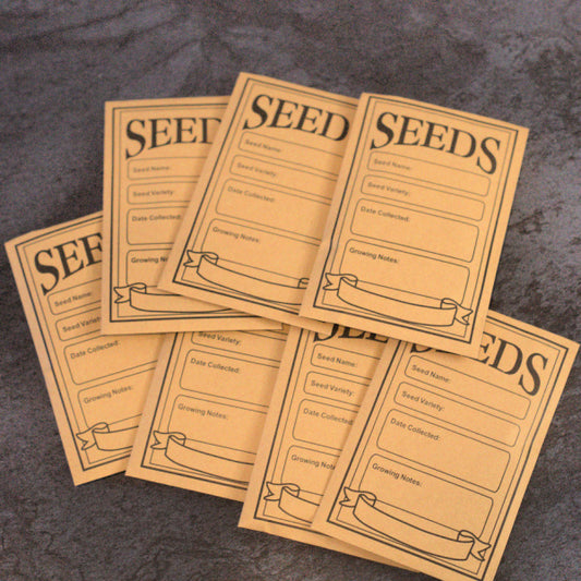 Seeds of Creativity – Lucky Dip Mixed Media Pack